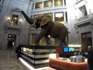 Smithsonian- Museum of Natural History